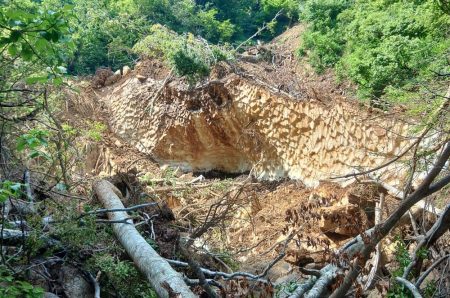 真夏の山でイワナ釣り ～九頭竜川水系～